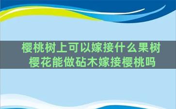 樱桃树上可以嫁接什么果树 樱花能做砧木嫁接樱桃吗